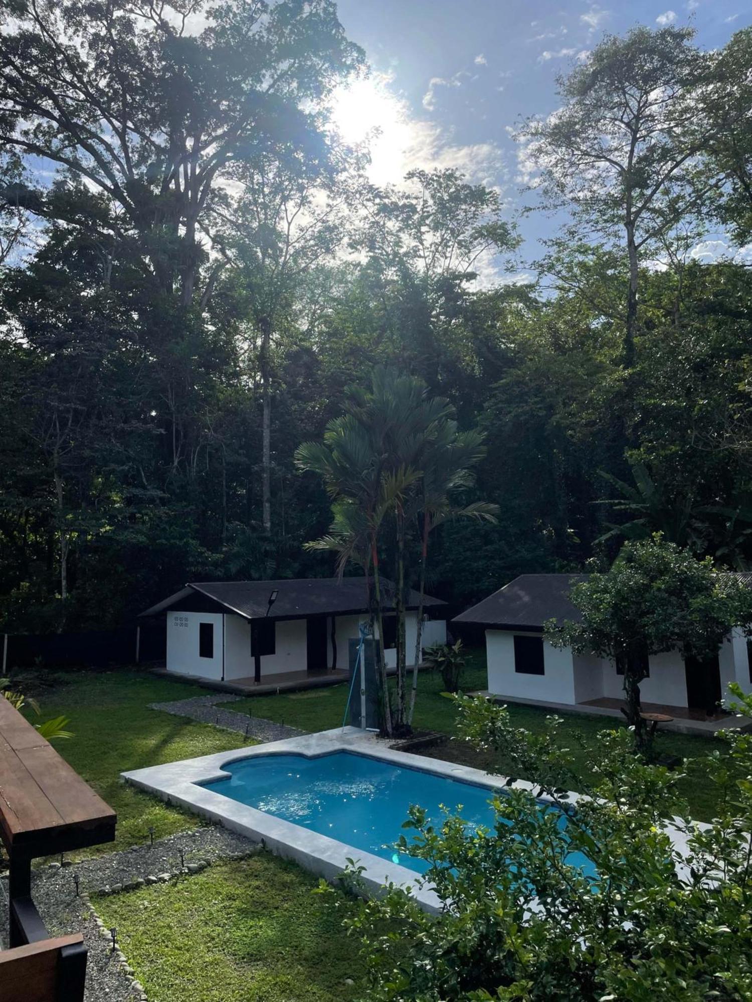 Bungalows Sloth Manzanillo  Extérieur photo